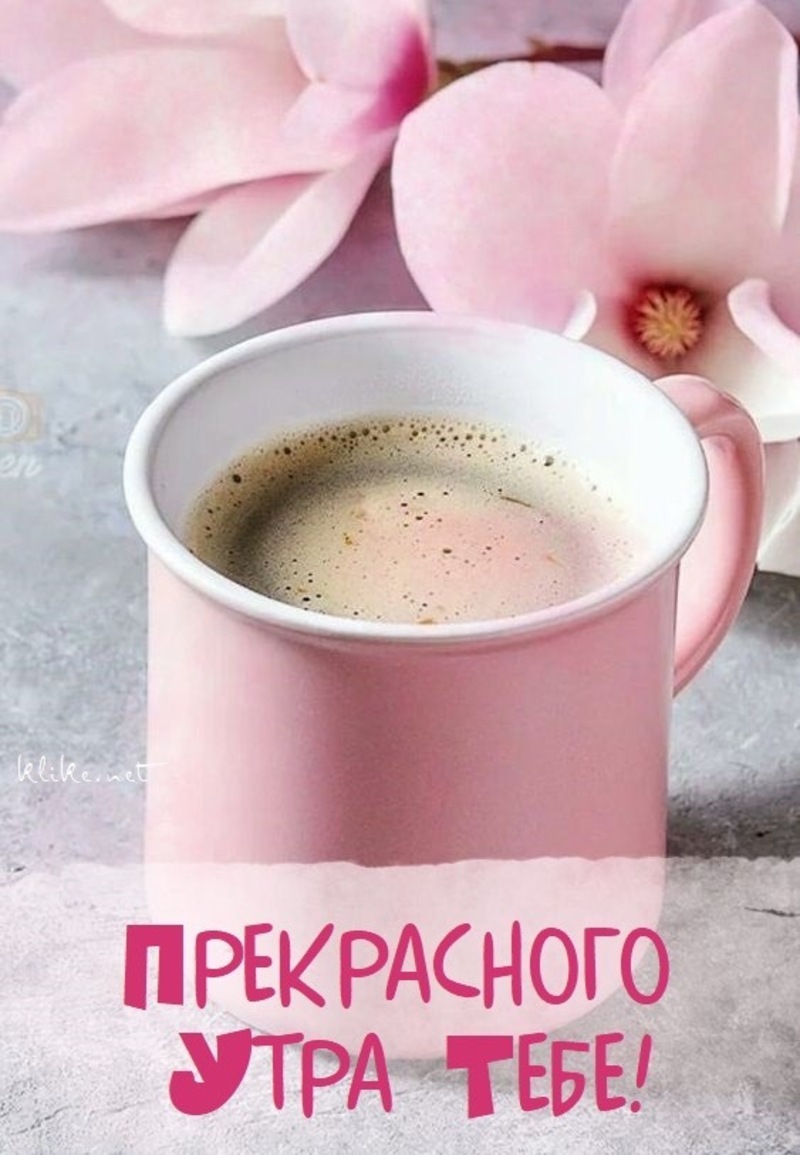 Красивые картинки и открытки с добрым утром